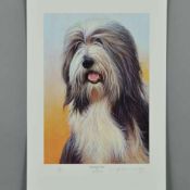 NIGEL HEMMING (BRITISH 1957) 'BEARDED COLLIE', a limited edition print 20/200, signed and numbered