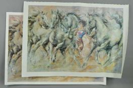 GARY BENFIELD (BRITISH 1965) 'THE HORSE WHISPERER', an artist proof print 87/175 of a woman and