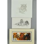TWO LIMITED EDITION PRINTS OF TIGERS, to include 'Lazy Days' by Alan Hunt, 'Eye of the Tiger' by