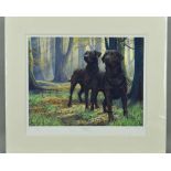 NIGEL HEMMINGS (BRITISH 1957), 'THE BEECH BOYS', a limited edition print of a pair of chocolate