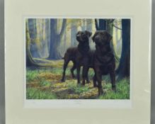NIGEL HEMMINGS (BRITISH 1957), 'THE BEECH BOYS', a limited edition print of a pair of chocolate