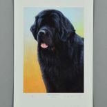 NIGEL HEMMING (BRITISH 1957) 'BLACK NEWFOUNDLAND', a limited edition print 28/200, signed and