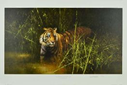 DAVID SHEPHERD (BRITISH 1931 -2017), 'INTO THE SUNLIGHT, THERE CAME A TIGER', a limited edition