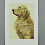 NIGEL HEMMING (BRITISH 1957) 'GOLDEN RETRIEVER', a limited edition print 77/200, signed and numbered