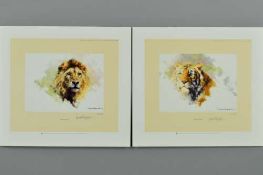 DAVID SHEPHERD (BRITISH 1931 - 2017) 'LIONS HEAD' and 'TIGERS HEAD', two limited edition prints