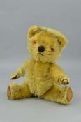 A SMALL CHAD VALLEY GOLDEN PLUSH TEDDY BEAR, vertical stitched nose, plastic eyes, jointed body,