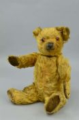 A SMALL GOLDEN PLUSH TEDDY BEAR, vertical stitched nose, shaved muzzle, plastic eyes, jointed