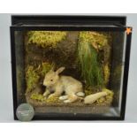 TAXIDERMY, a Kit (Baby Rabbit) lying in a naturalistic setting of a mossy bank, signed Barry