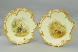 A PAIR OF ROYAL WORCESTER AYSMMETRICAL PLATES DECORATED WITH PARTRIDGES AND TURKEYS, moulded gilt