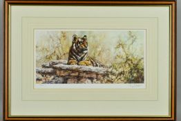 TONY FORREST (BRITISH 1961) a limited edition print 84/500 of a tiger lying on a rock, signed and