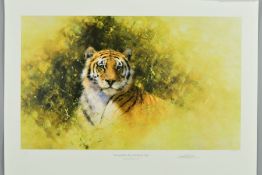 DAVID SHEPHERD (1931-2017) 'WORKING SKETCH FOR A PAINTING OF A TIGER', signed and titled in pencil