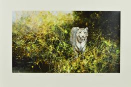 DAVID SHEPHERD (BRITISH 1931-2017), 'White Tiger of Rewa', a limited edition print 268/350,