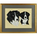 PETER MAILER-YATES (BRITISH 20TH CENTURY), a pastel drawing of a pair of Collie Dogs, signed in