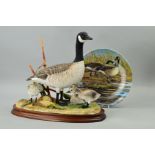 A LIMITED EDITION BORDER FINE ARTS SCULPTURE 'Canadian Goose and Goslings', style three, B0882, No