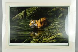 SPENCER HODGE (BRITISH 1943) 'Cooling Off', a limited edition print 475/850 of a tiger wading