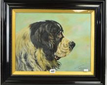 D CLEOBURY, an oil on canvas painting of a St Bernard dog, signed and dated 1917 lower right, framed