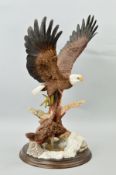 A COUNTRY ARTISTS SCULPTURE, 'Spirit of Freedom' (Eagle in Flight), CA686, approximate height