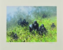 DAVID SHEPHERD (1931-2017) 'IN THE MISTS OF RWANDA', a limited edition print 11/250 of Gorillas,