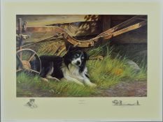 NIGEL HEMMING (BRITISH 1957) 'NOW AND THEN', a limited edition print 421/600 of a Collie dog by an