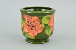 A SMALL MOORCROFT POTTERY JARDINIERE, 'Hibiscus' pattern on green ground, impressed and painted