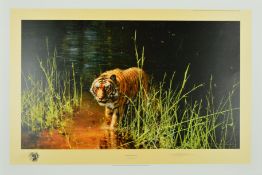 DAVID SHEPHERD (1931-2017) 'JUNGLE GENTLEMAN', a limited edition print 1581/2000 of a tiger wading