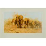 DAVID SHEPHERD (1931-2017) 'DUSTY EVENING', a limited edition print 99/200 of a herd of elephants,