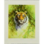 DAVID SHEPHERD (BRITISH 1931-2017) 'PORTRAIT OF A TIGER' a limited edition print 118/200, signed,