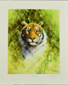 DAVID SHEPHERD (BRITISH 1931-2017) 'PORTRAIT OF A TIGER' a limited edition print 118/200, signed,