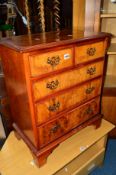 A YEW WOOD CHEST, of two short and three long drawers