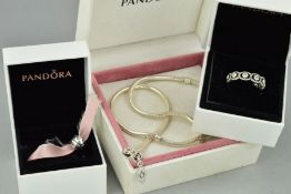 THREE ITEMS OF PANDORA JEWELLERY, to include a plain necklace, length 450mm, a ladybird charm and