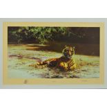 DAVID SHEPHERD (1931-2017) 'INDIAN SIESTA', a limited edition print 272/1300 of a Tiger, signed