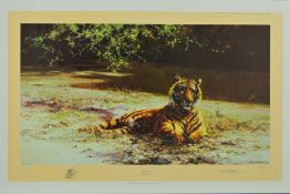 DAVID SHEPHERD (1931-2017) 'INDIAN SIESTA', a limited edition print 272/1300 of a Tiger, signed