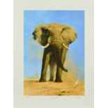 DAVID SHEPHERD (1931-2017) 'MY SAVUTI FRIEND' a limited edition print of an elephant 144/350,