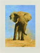 DAVID SHEPHERD (1931-2017) 'MY SAVUTI FRIEND' a limited edition print of an elephant 144/350,