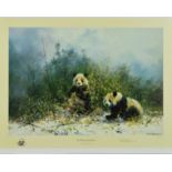 DAVID SHEPHERD 91931-2017) 'THE PANDAS OF WOLONG', a limited edition print 920/1500, signed and