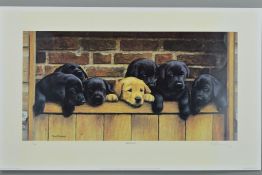 NIGEL HEMMING (BRITISH 1957) 'SEVEN UP', a limited edition print of a litter of seven Labradors