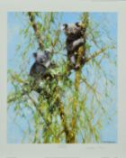 DAVID SHEPHERD (1931-2017) 'UP A GUM TREE', a limited edition print 144/950 of Koala Bears, signed