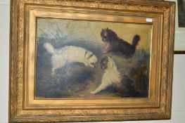 OIL ON BOARD OF THREE TERRIERS AROUND A RABBIT HOLE, after Armfield, framed, approximate size 29cm x