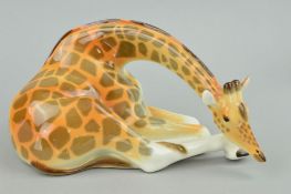 A USSR LOGOMANOV FIGURE, of a recumbert giraffe, stamped to base, length approximately 27cm