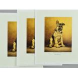 NIGEL HEMMING (BRITISH 1957) 'YOUNG WINSTON', three limited edition prints of an Alsatian Puppy