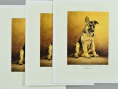 NIGEL HEMMING (BRITISH 1957) 'YOUNG WINSTON', three limited edition prints of an Alsatian Puppy