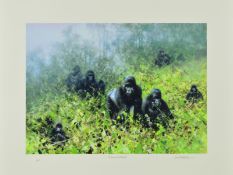 DAVID SHEPHERD (1931-2017) 'IN THE MISTS OF RWANDA' a limited edition print 17/250 of a troop of