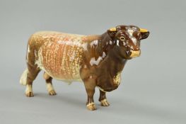 A BESWICK DAIRY SHORTHORN BULL, Ch. 'Gwersylt Lord Oxford 74th', No 1504