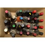 A COLLECTION OF TWENTY TWO BOTTLES OF RED AND WHITE WINE (12 & 10) from Europe and the New World