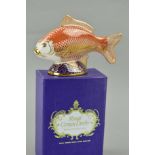 A BOXED ROYAL CROWN DERBY 'GOLDEN CARP' PAPERWEIGHT (no stopper)