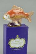 A BOXED ROYAL CROWN DERBY 'GOLDEN CARP' PAPERWEIGHT (no stopper)