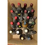 A COLLECTION OF TWENTY TWO BOTTLES OF RED AND WHITE WINE (12 & 10) from Europe and the New World