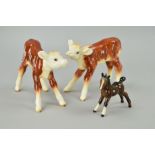 TWO BESWICK HEREFORD CALFS, No 854, both brown and white, legs reglued on one, together with a