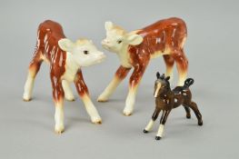 TWO BESWICK HEREFORD CALFS, No 854, both brown and white, legs reglued on one, together with a