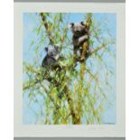 DAVID SHEPHERD (1931-2017) 'UP A GUM TREE' a limited edition print 142/950 of Koala Bears in a tree,